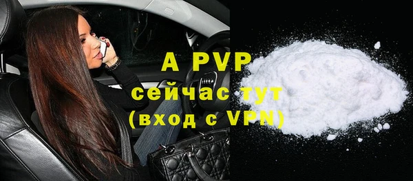 гашик Абаза