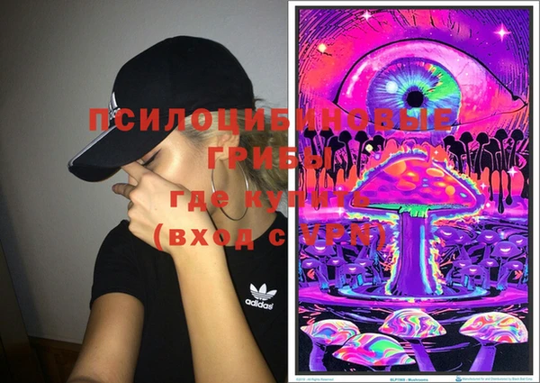 PSILOCYBIN Абинск