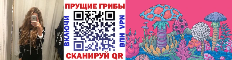 Галлюциногенные грибы Cubensis  наркота  Котово 